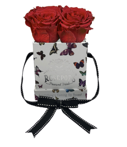 4 Roses Square - Butterfly