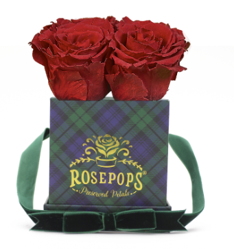 4 Roses Square - Blackwatch Plaid