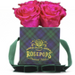 4 Roses Square - Blackwatch Plaid