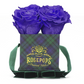 4 Roses Square - Blackwatch Plaid
