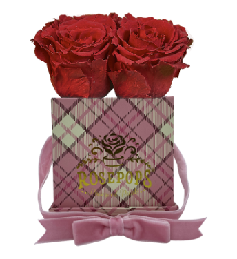 4 Roses Square - Preppy Pink