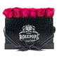 12 Roses Rectangle - Black Croc