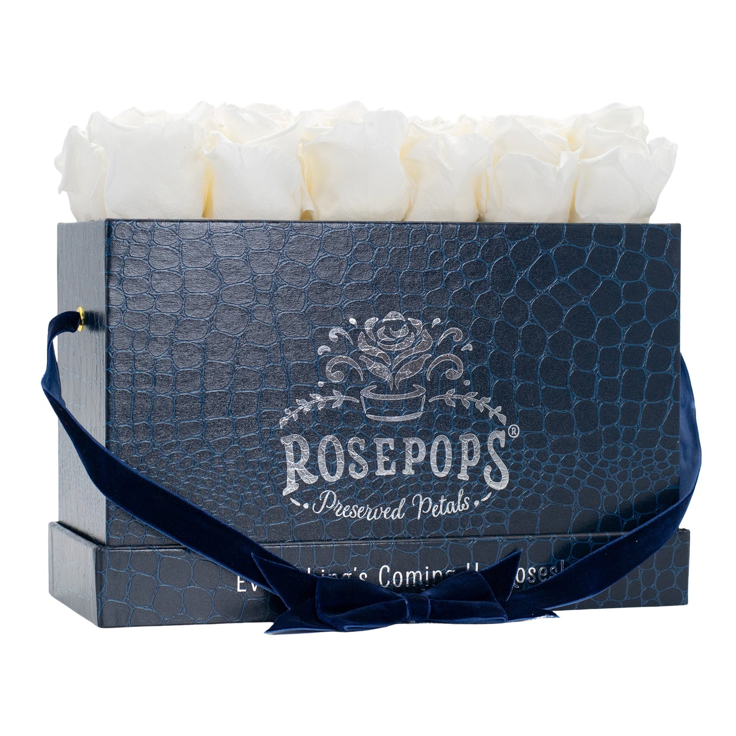 12 Roses Rectangle - Sapphire