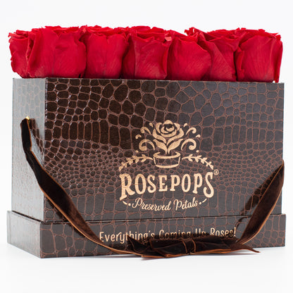 12 Roses Rectangle - Chocolate
