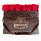 12 Roses Rectangle - Chocolate