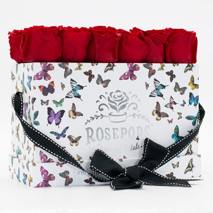 12 Roses Rectangle - Butterfly
