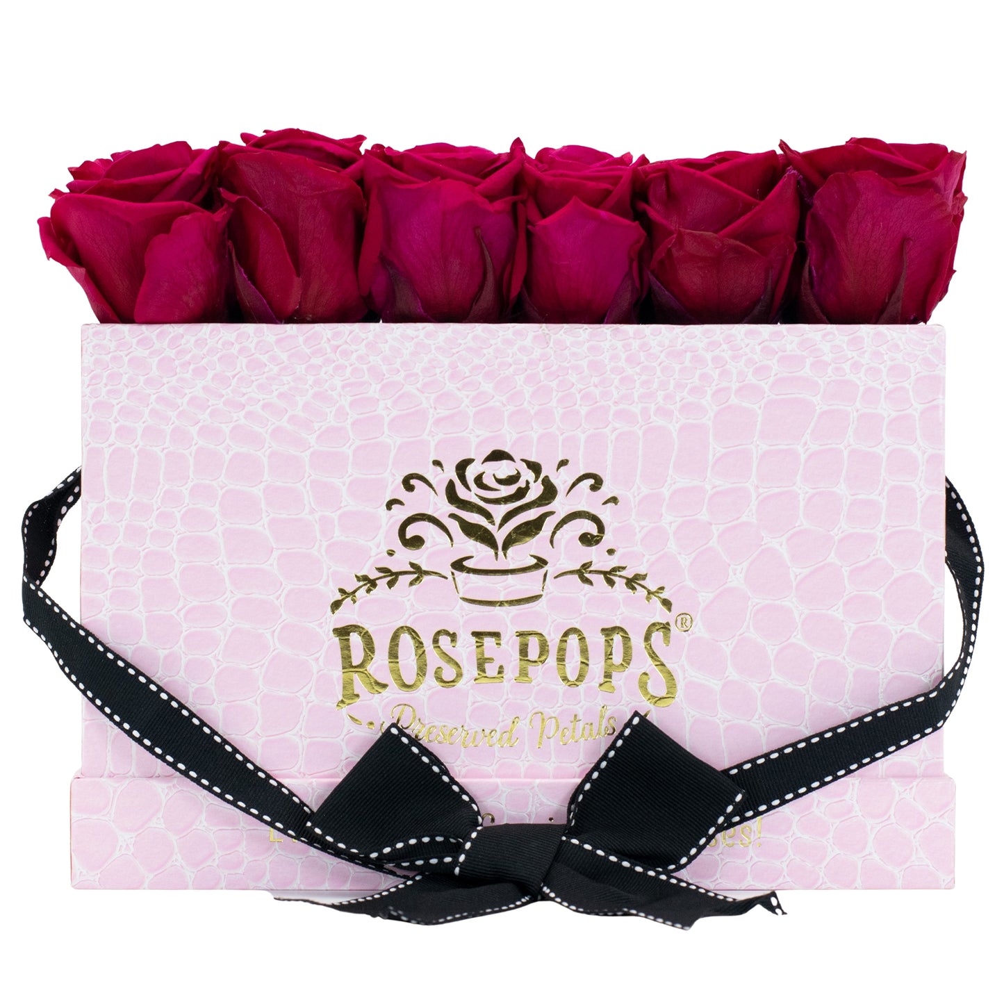12 Roses Rectangle - Pink Croc