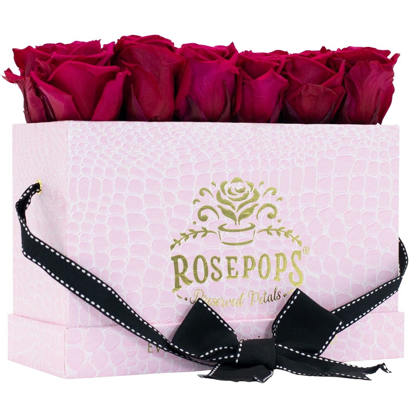 12 Roses Rectangle - Pink Croc