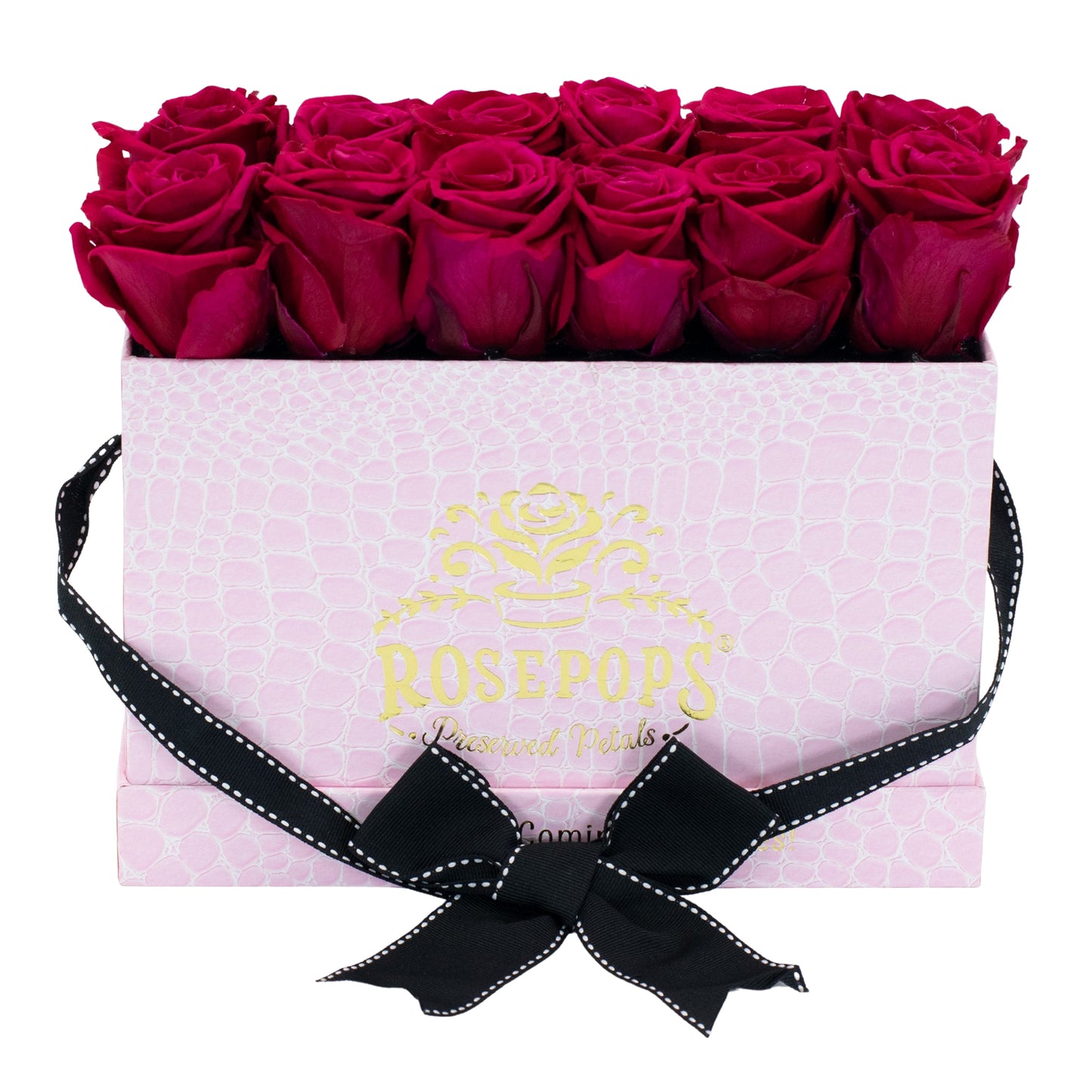 12 Roses Rectangle - Pink Croc