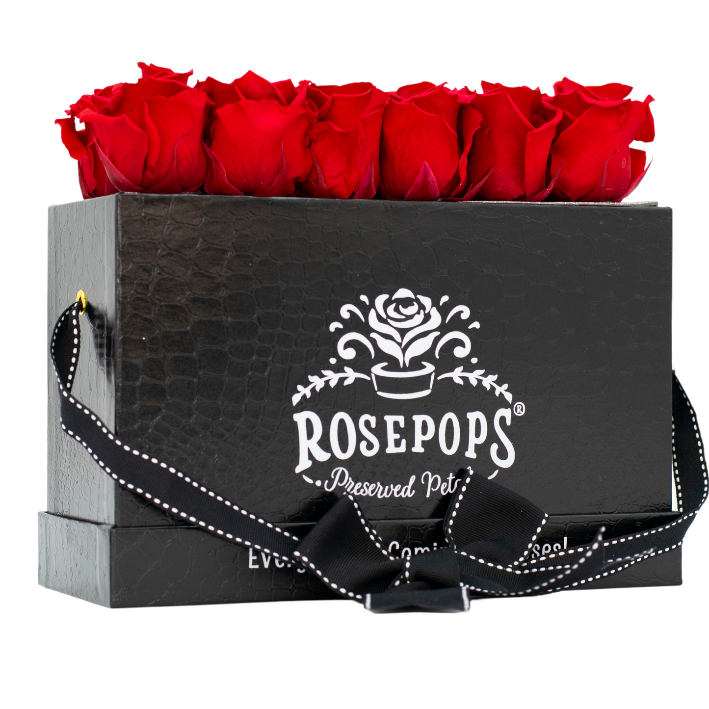 The Black Monogrammed Keeper by the Dozen - Cherry Crush Roses