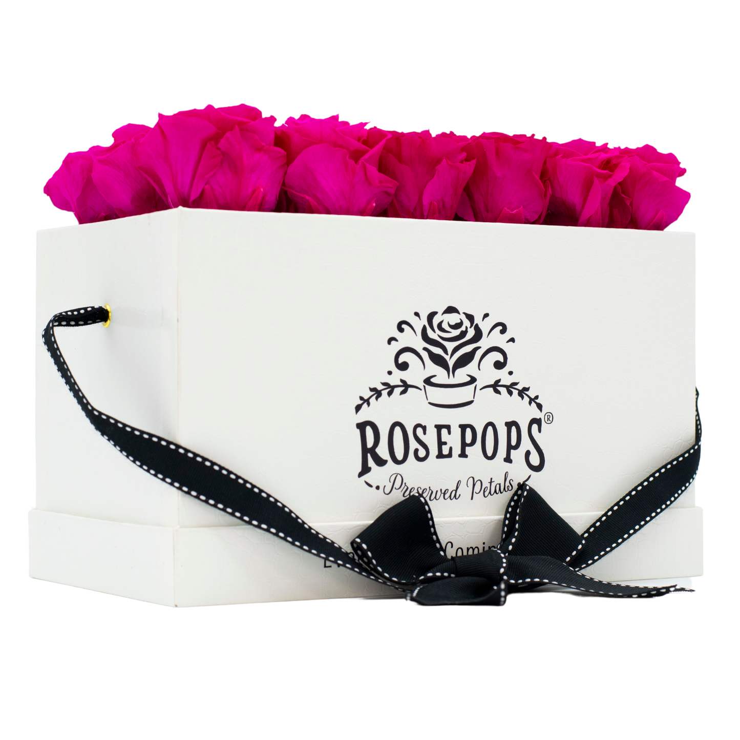 White Monogrammed Pop of the Line - Raspberry Punch Roses