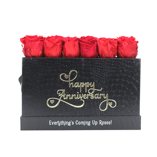 Anniversary Black Pop of the line