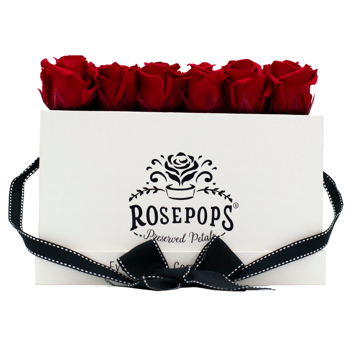 The White Monogrammed Pop of the Line - Cherry Crush Roses