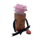 You Macaron my Day