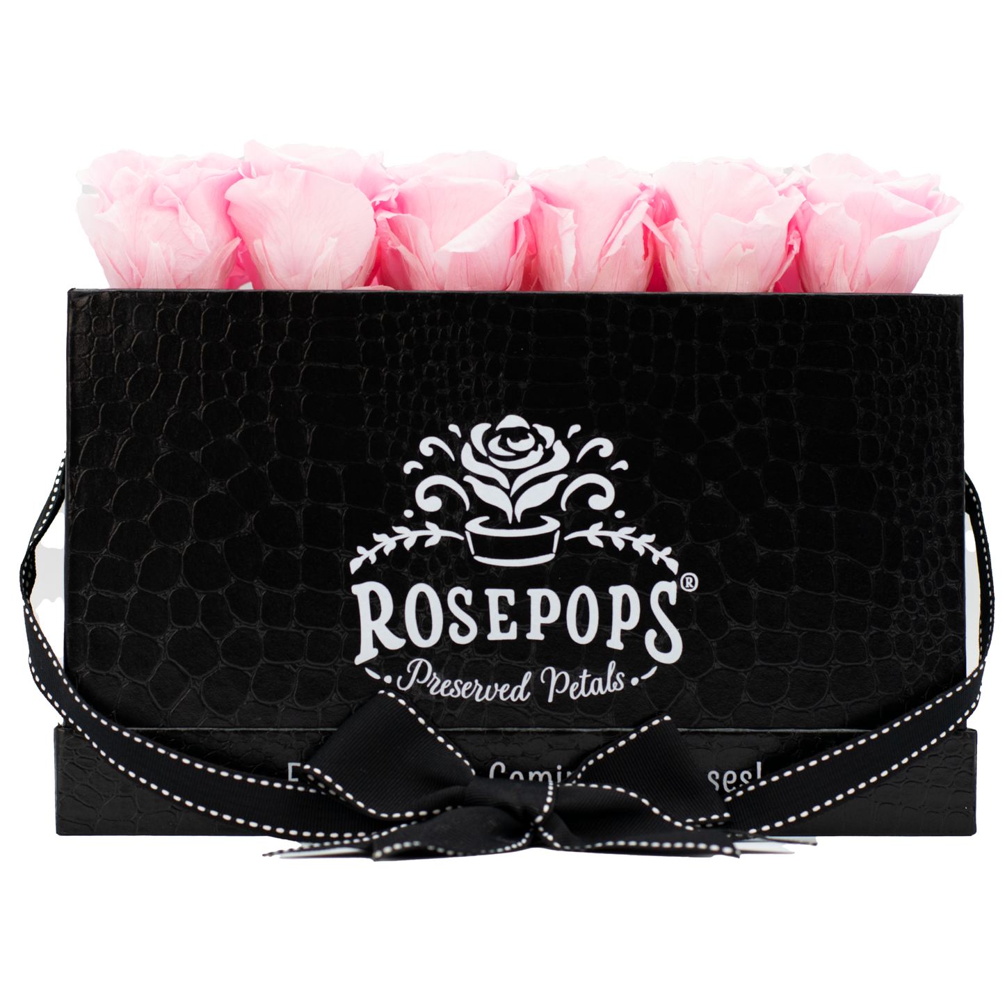 The Black Monogrammed Pop of the Line - Cotton Candy Roses