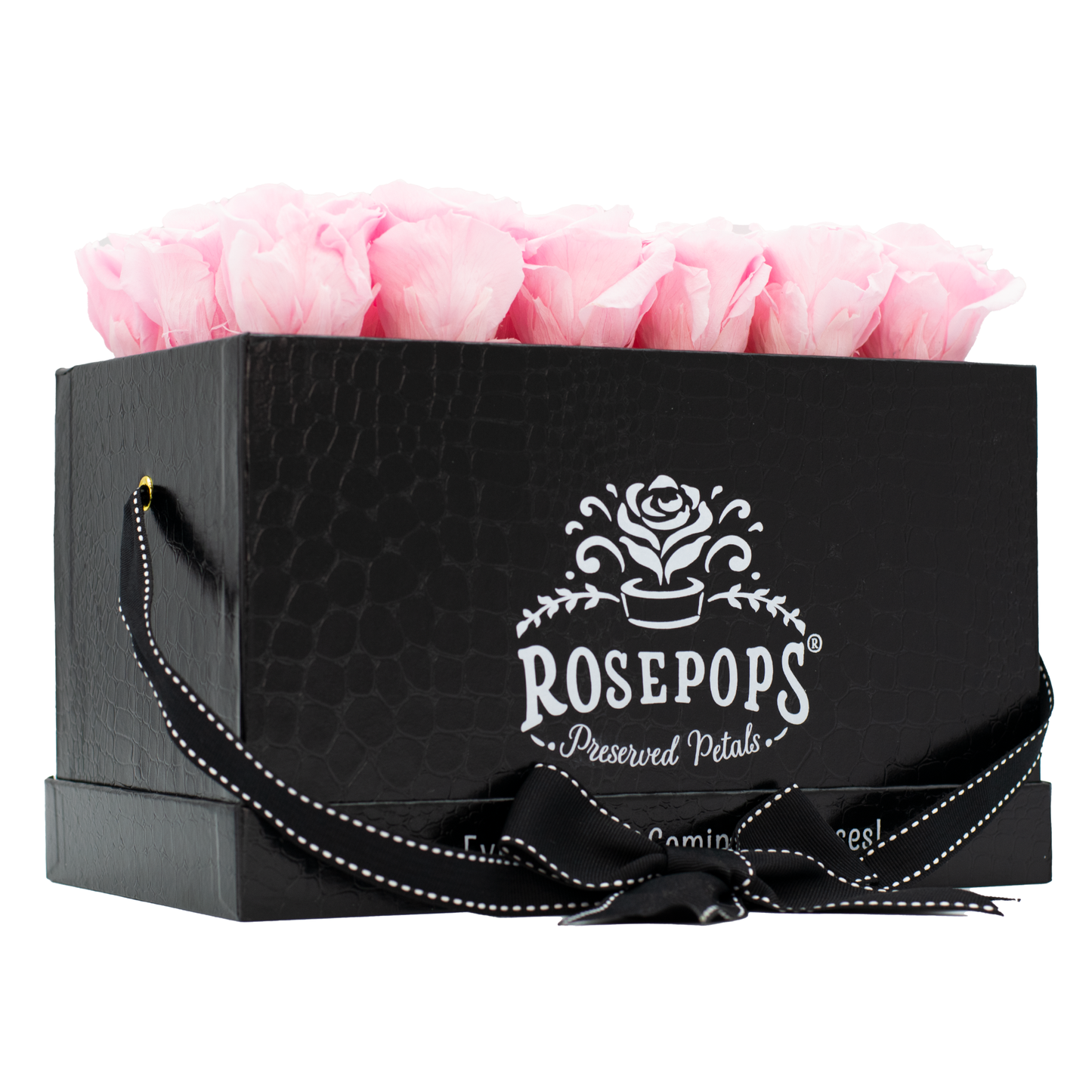 The Black Monogrammed Pop of the Line - Cotton Candy Roses