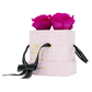 Pink Croc Three's a charm DELUXE