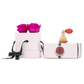Pink Croc Three's a charm DELUXE