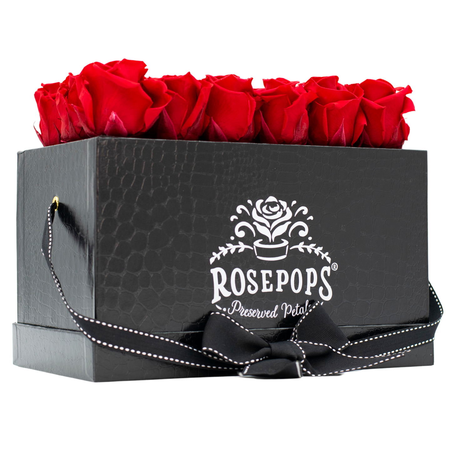 The Black Monogrammed Pop of the Line - Cherry Crush Roses