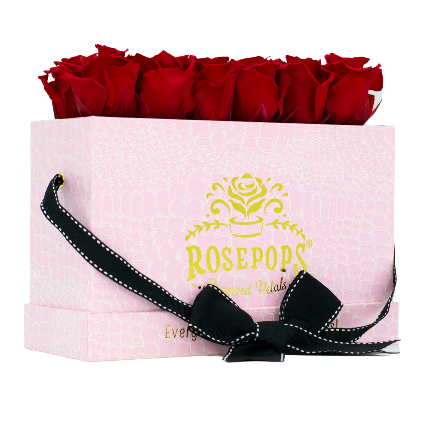 The Pink Monogrammed Keeper by the Dozen - Cherry Roses