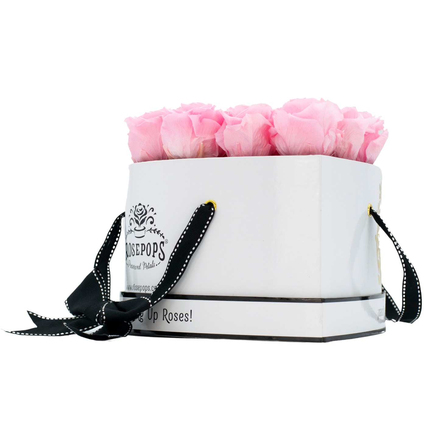 The White Monogrammed Lucky 13 - Cotton Candy Roses