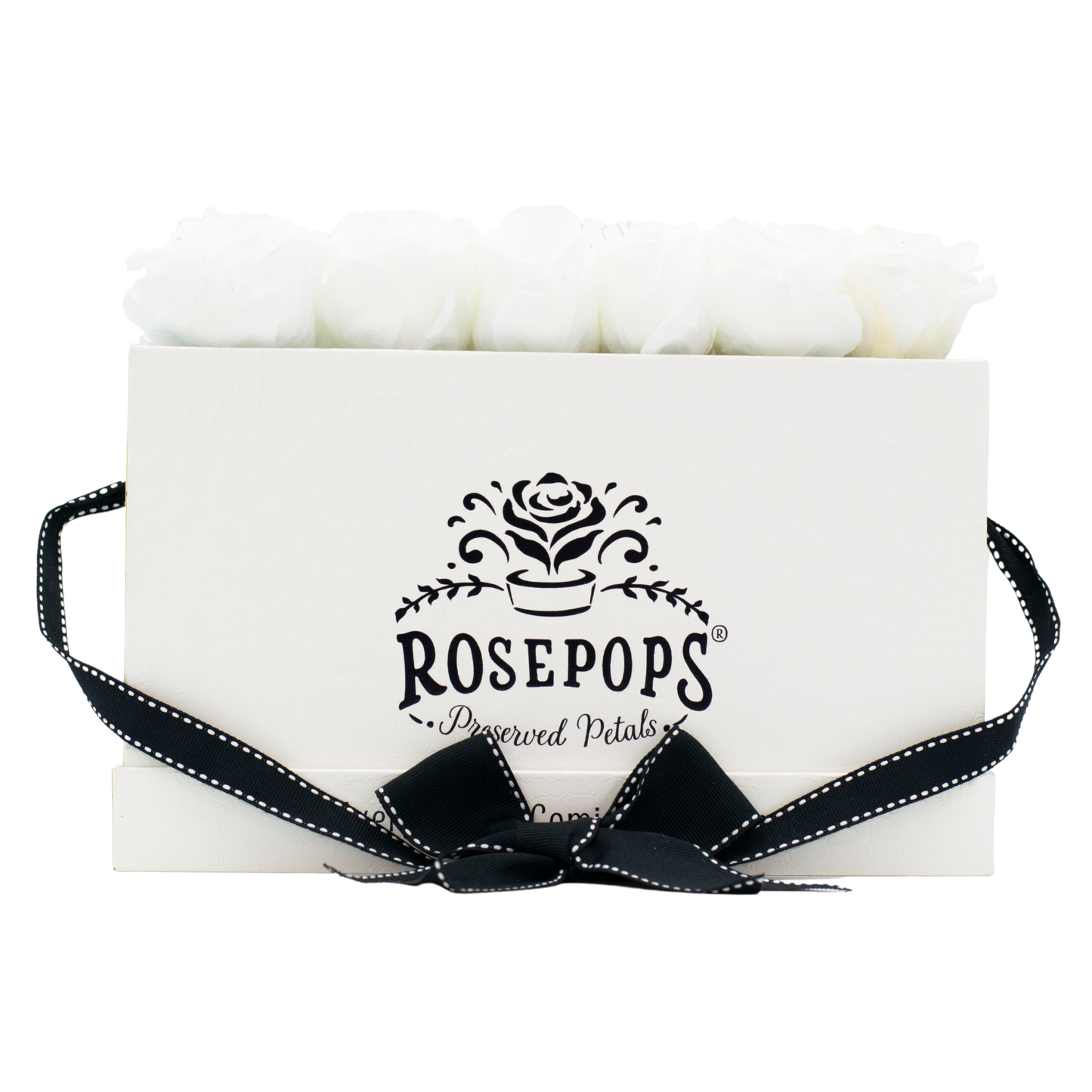 The White Monogrammed Keeper by the Dozen - Marshmallow Fluff Roses