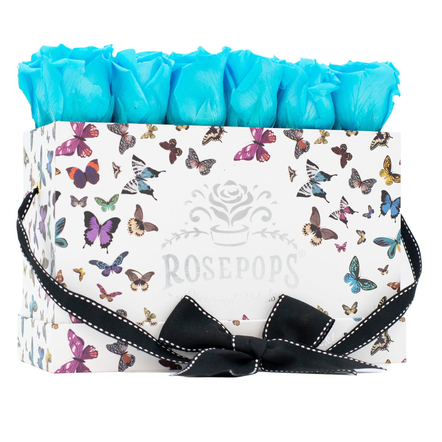 The Butterfly Keeper by the dozen DELUXE
