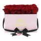 Anniversary Pink Pop of the Line