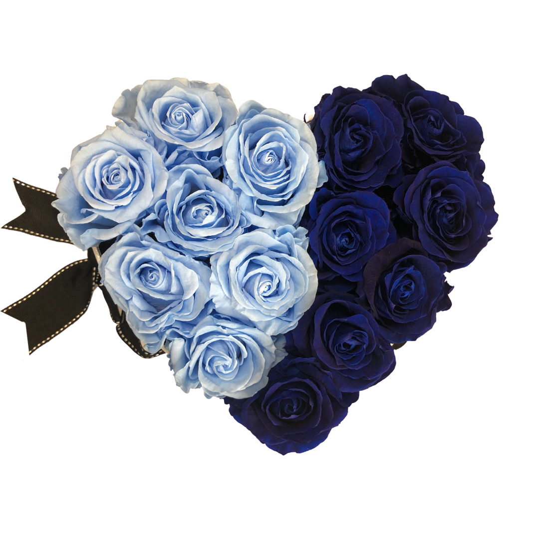 White Heartfully Blue