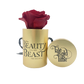 Disney Beauty & the Beast Limited Edition Golden One Up