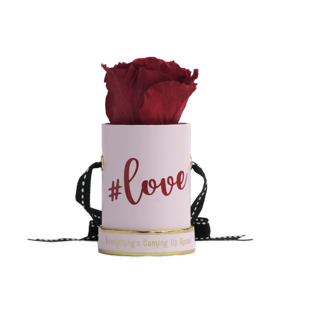 Hashtag Love